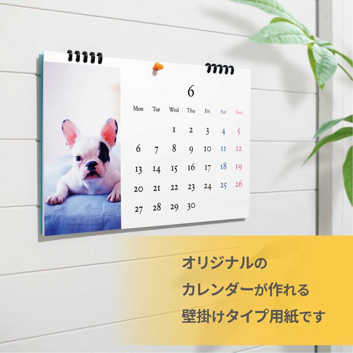 ���쥳�� �����Υץ�󥿤ǥ��ꥸ�ʥ륫����������ñ�˺��롪���ꥫ���������åȡʼ��ꥫ���������åȡ� ELECOM EDT-CALA4WK