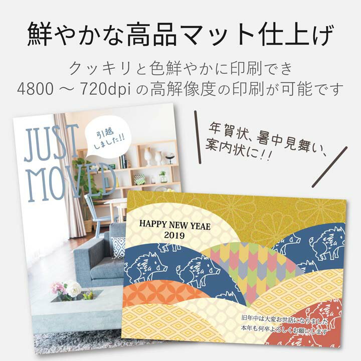 ���쥳�� �Ϥ����ѻ� �����ѡ��ե������ ͹���ֹ������� 50�� ELECOM EJH-SH50