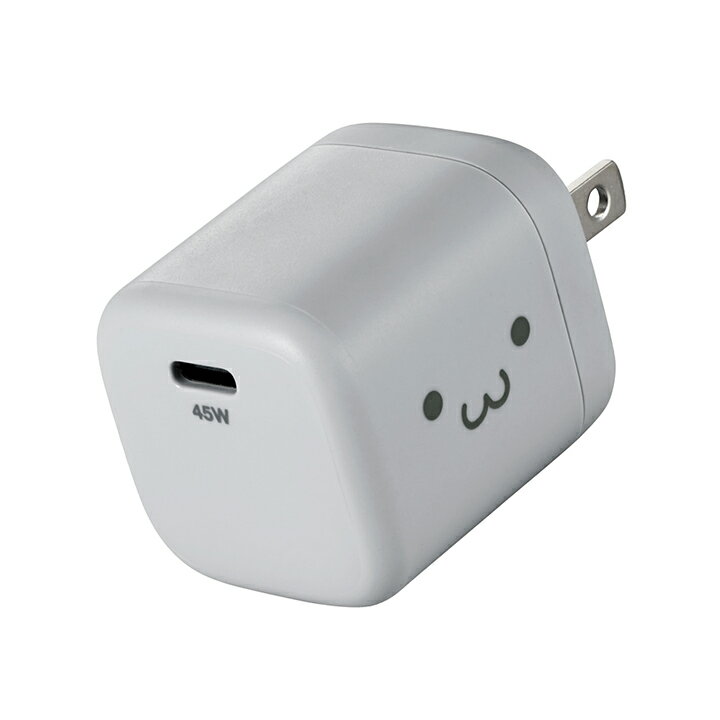 쥳 ACŴ USB Power Delivery 45W USB-C 1ݡ Ŵ C 졼ե EC-AC13AGF