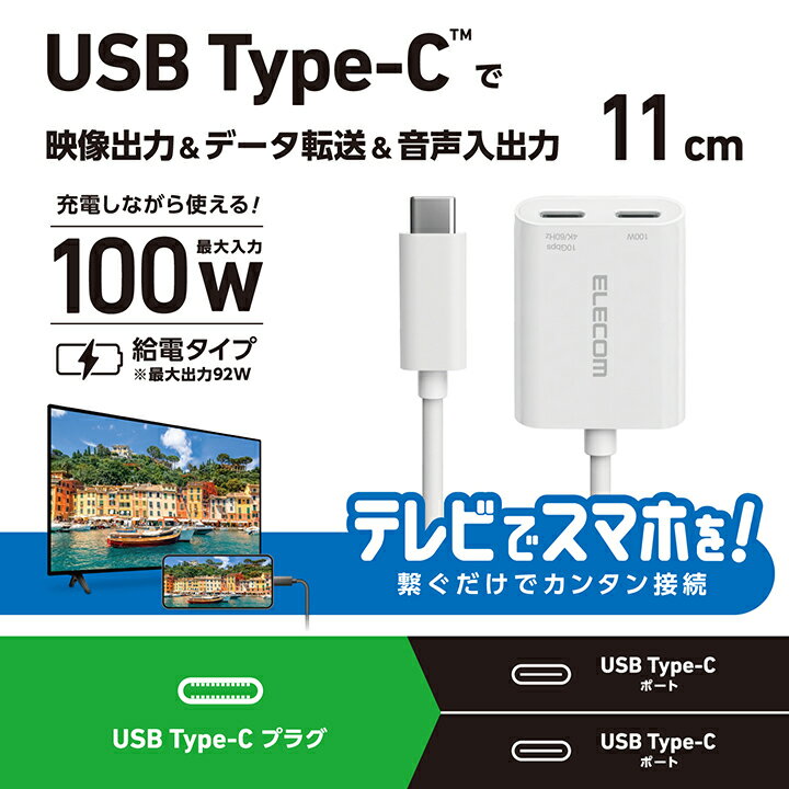 ���쥳�� Type-C �����Ѵ������ץ� USB Type-C �Ѵ������ץ��� 2�ݡ��� Power Delivery �����դ� TypeC-TypeC��2 4K60Hz 10Gpbs �ۥ磻�� ELECOM MPA-C2CPD100WH