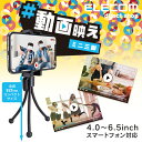 エレコム スマートフォン 用 ミニ 三脚 iphone アイフォン スマホ 自撮り 固定 ブラック ELECOM P-STMNBK