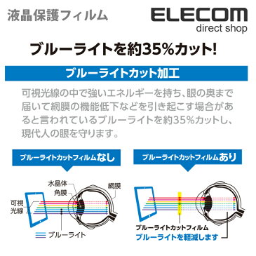 エレコム iPad 第5世代 (2017年発売モデル) 9.7インチ 液晶保護ブルーライトカットフィルム 高光沢 TB-A179FLBLGN