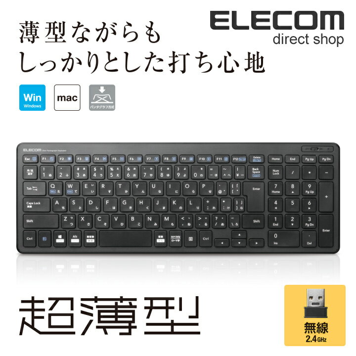 エレコム ワイヤレス フル キーボード 軽量×超薄型 無線 2.4GHz ブラック Windows11 対応 TK-FDP099TBK