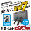 エレコム 耐震ベルト ネジどめタイプ 〜75V型テレビ用 2本入 TS-006N