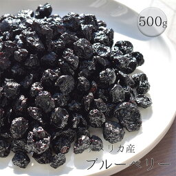 ブルーベリー　500g　【アメリカ産】　ドライフルーツ　(カルチベイト種)　送料無料