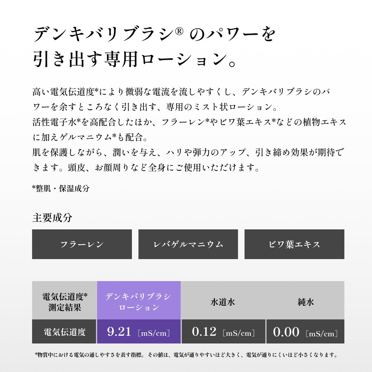 【エレクトロン公式】デンキバリブラシ(R)2.0 +ボディ専用ケースセット │ デンキバ...