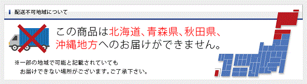 胡蝶蘭　3本立ち　白　大輪50輪（蕾込み）以上【送料無料　税込みで28800円！楽天1位獲得！！】 花 お供え お祝い　コチョウラン　こちょうらん