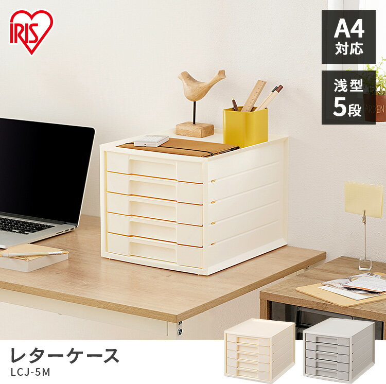 ���ॱ���� ��Ǽ������ �쥿�������� 5�� A4 �����Ф� �����ꥹ������� ��Ǽ������ �ץ饹���å� �����Ф� ��ʪ ������� ��Ǽ ��ʪ������ �������� ���� �������� ���ե�����Ǽ ����Ǽ �������� �ߥ˥������� ��� LCJ5M[2603SI]