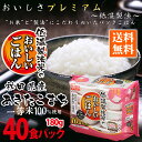 パックご飯 あきたこまち 40食 180g 