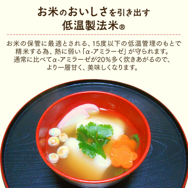 餅 もち お餅 いなりもち いなりあげもち 10個入 国産 水稲もち米100％ 低温製法米 簡単調理 電子レンジ お正月 年末年始 力うどん チーズ 非常食 備蓄 稲荷 10食 いなり餅 アイリスオーヤマ アイリスフーズ * [2506SI]