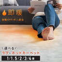 ホットカーペット 2畳 1畳 1.5畳 3畳 4畳 ラグ セット 省エネ 本体 TEKNOS 電気カーペット コンパクト ホットマット 電気マット 省エネ 正方...