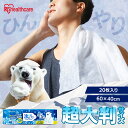 ウェットタオル 大判 体拭きシート 汗拭きシート 無香性 冷たい メントール 冷感 冷却 使い捨て 制汗シート 熱中症対策 暑さ対策 スポーツ アウトドア キャ...