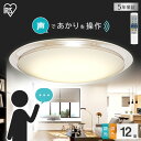 シーリングライト おしゃれ 12畳 led 調光調色 音声操作 クリアフレーム CL12DL-6.1CFUV 照明器具 天井照明 メタルサーキット 節電 音声 ...