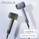 \大風量で速乾/ドライヤー 大風量 軽量 速乾 ヘアケア イオン プラスマイナスイオン イオンドライヤー 冷風 DCBLモーター搭載 プレゼント ギフト グレー...