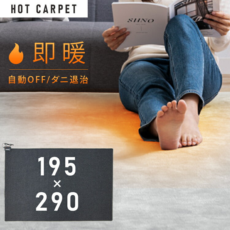 【P5倍★21日20時～22日迄】ホットカーペット 4畳 本体 電気カーペットホットカーペット本体 四畳 電気マット ダニ退治 暖房面切替 暖房 足元 床生活 折りたたみ収納可能 暖かい 温かい リビング ホットマット グレー テクノス 【D】のサムネイル