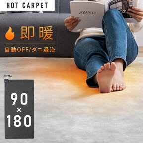 ホットカーペット 1畳 本体 90×180cm ホットカーペット 電気カーペット 電気マット カーペット 電気 マット 一人用 1帖 足元 ダニ対策 タイマー付 一人暮らし 足元暖房 足元ヒーター 省スペース コンパクト TEKNOS HC-IR100 【D】【B】