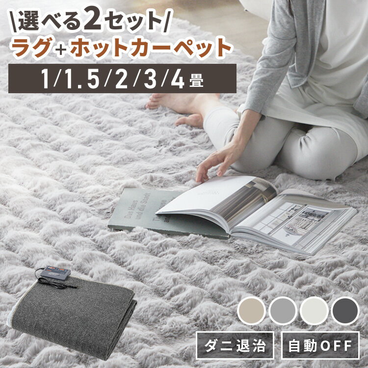 ホットカーペット 2畳 1畳 1.5畳 3畳 4畳 ラグ セット 省エネ 本体 TEKNOS 電気カーペット コンパクト ..