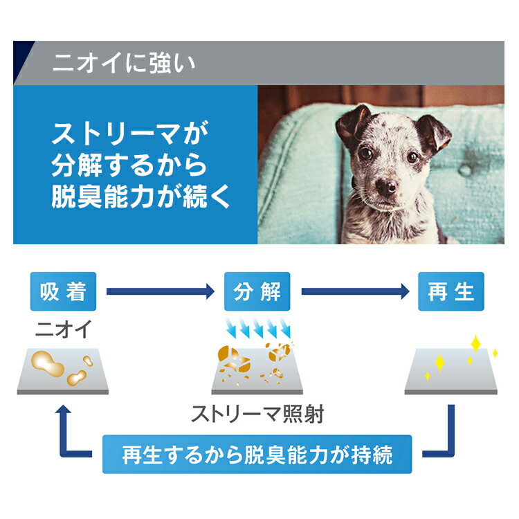 ＼4日20時〜28Hポイント5倍／空気清浄機 加湿器 ダイキン 25畳 コンパクト リモコン付き 大容量 花粉 おしゃれ タワー型 抗菌 省スペース 空気清浄器 2022年モデル ペット 脱臭 お手入れ簡単 花粉対策 加湿空気清浄機 ホワイト ブラウン カームベージュ MCK55Y【D】