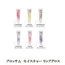 コスメ・化粧品（1000円程度） 【最大3％OFF】 BLOSSOM ブロッサム モイスチャーライジング リップグロス 9ml 【6種類からご選択】 チューブタイプ 保湿 潤い 化粧品 唇 コスメ ギフト プレゼント フラワー フルーツの香り 果物 お花入り 乾燥 新品 送料無料