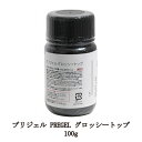 【最大3%OFF】 プリジェル PREGEL グロッシートップ 100g 国産ジェルネイル トップコート ネイル用品 ソフトジェルタイプ GLOSSY TOP 日本製 新品 送料無料