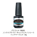  プリジェル PREGEL ノンワイプクリア キャンジェル ネイル ふき取り不要  トップコートジェル 14g 国産ジェルネイル トップコート トップジェル ネイル用品 ソフトジェルタイプ ソークオフタイプ 日本製 新品 送料無料