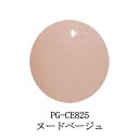 【最大3％OFF】 プリジェル カラージェル PREGEL ジェルネイル カラーEX ヌードベージュ 3g PG-CE825 ジェルカラー ナチュラルベージュ ネイルカラー ネイリスト セルフネイル 新品 送料無料