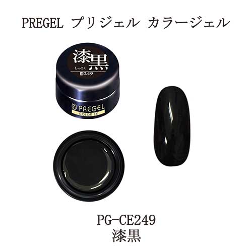  プリジェル カラージェル PREGEL カラーEX PG-CE249 漆黒 ブラック マット 4g ネイルカラー ネイリスト セルフネイル ジェルネイル ジェルカラー ソフトジェルタイプ ソークオフタイプ 新品 送料無料