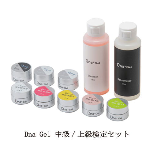 ディーナジェル Dna Gel 中級/上級検定セット JNAジェルネイル技能検定 中級用 上級用 スーパーフィットベース ビル…