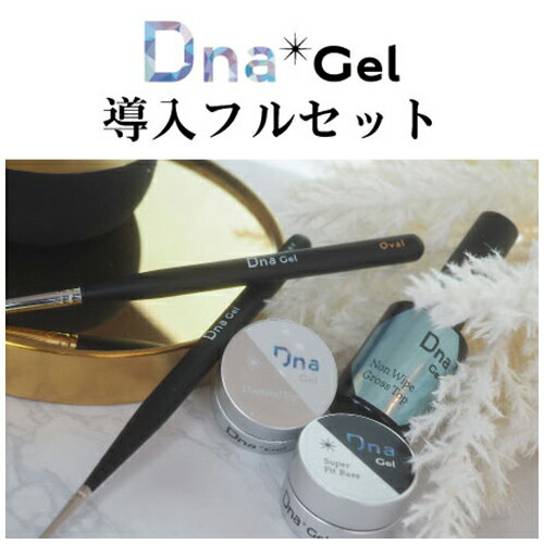 Dna Gel ディーナジェル 導入フルセット スターターキット ジェルネイル カラージェル クリアジェル トップジェル ベ…