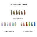 【最大3%OFF】 リリージェル Lily gel パレット 6色×0.25g 【3種類からご選択】 ドレッシーミラーパレット キャンディオーロラパレット KAI プリズムミラーパレット ニュアンス オーロラネイル ミラーネイル トレンド感 カラフル ジェルネイル セルフネイル 新品 送料無料