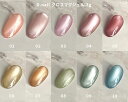 【最大3%OFF】 ディーネイル D.nail グロスマグジェル 3g 【10色からご選択】 01-10 マグネットジェル マグネットネイル 磁石 リップグロスのようなうるつや感 繊細な光 パール グリッター ソフトジェル ソークオフ ジェルネイル セルフネイル グリーン 新品 送料無料