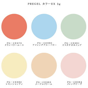 【最大3%OFF】 プリジェル PREGEL カラーEX 3g 【6色からご選択】 PG-CE979からPG-CE984 パティスリーコロレシリーズ マットカラー パステル調 ワンカラー 春夏 チェック柄 フレンチデザイン カラージェル ソフトジェル ソークオフ ジェルネイル セルフネイル 新品 送料無料