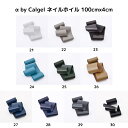 【最大3%OFF】 α by Calgel ネイルホイル 約100cm×4cm 【10色からご選択】 21-30 転写箔 転写シール 転写シート ホイルアート フィルムシート ネイルシール ジェルネイル セルフ ホワイト グレージュ グリーン ブルー ブラック アルファ バイ カルジェル 新品 送料無料