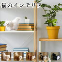 【最大3%OFF】 猫の置物 【5種類からご選択】 ペルシャ チンチラ ねこ 人形 ぬいぐるみ おしゃれ かわいい おもちゃ ふわふわ 子ども お子さま 男の子 女の子 動物 リアル インテリア オブジェ プレゼント クリスマス 誕生日 贈り物 ギフト アニマル 雑貨 新品 送料無料