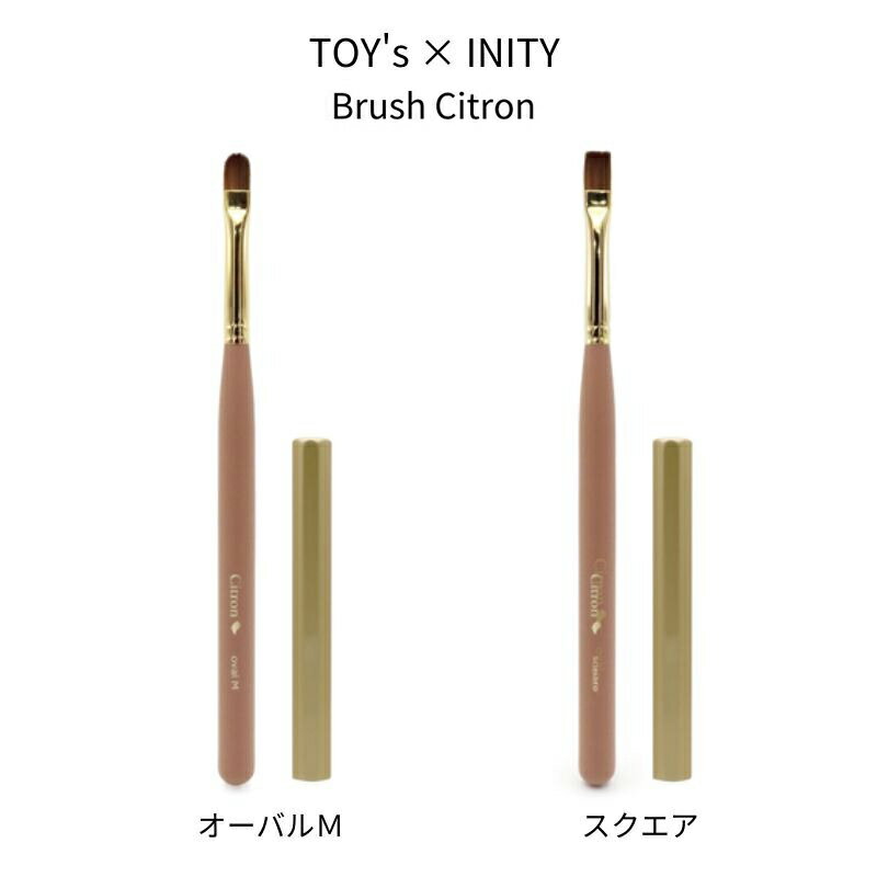【最大3％OFF】 TOY's × INITY Brush Citron 【2種からご選択】 オーバルM T-CBR-OM スクエア T-CBR-SQ..