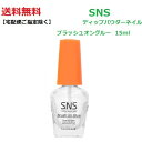 【最大3％OFF】 【送料無料】 最新ネイル SNS ディップネイル ブラッシュオングルー brush on glue 15ml UVライト LEDライト不要 手に優しい 爪に優しい 長もち ネイル Signature Nail System ディップネイル ディッピングパウダーネイル DIP 接着剤 輝き ボンド