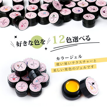 スターターキット ネイル ジェルネイルキット 超特盛 カラージェル12色選べる 48Wミックスライト LED対応 UV対応 ジェルネイル プチプラ ネイルシール ネイルパーツ フットネイル ネイルグッズ LEDライト ネイルアート ネイリスト セルフネイル 新品 【送料無料】