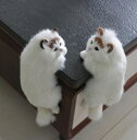 【最大3%OFF】 猫のぬいぐるみ インテリア 猫の置物 ぬいぐるみ 左右 アニマル 部屋のインテリア オフィスのアクセント ペルシャ猫 チンチラ ペット 新品...