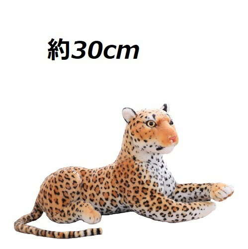 imgrc0073635594.jpg imgrc0073635594.jpg