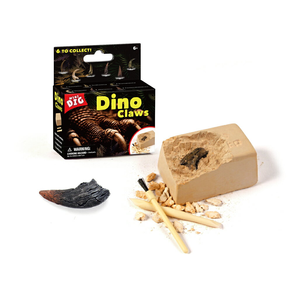 化石発掘キット 【最大3％OFF】 Dino Claws 恐竜の爪発掘セット 全6種から1つ ランダム発送 玩具 おもちゃ 新品 送料無料