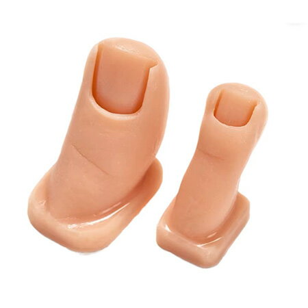 【最大3％OFF】 Resistance Plate フット模型set 2個セット フット親指 人差 ...