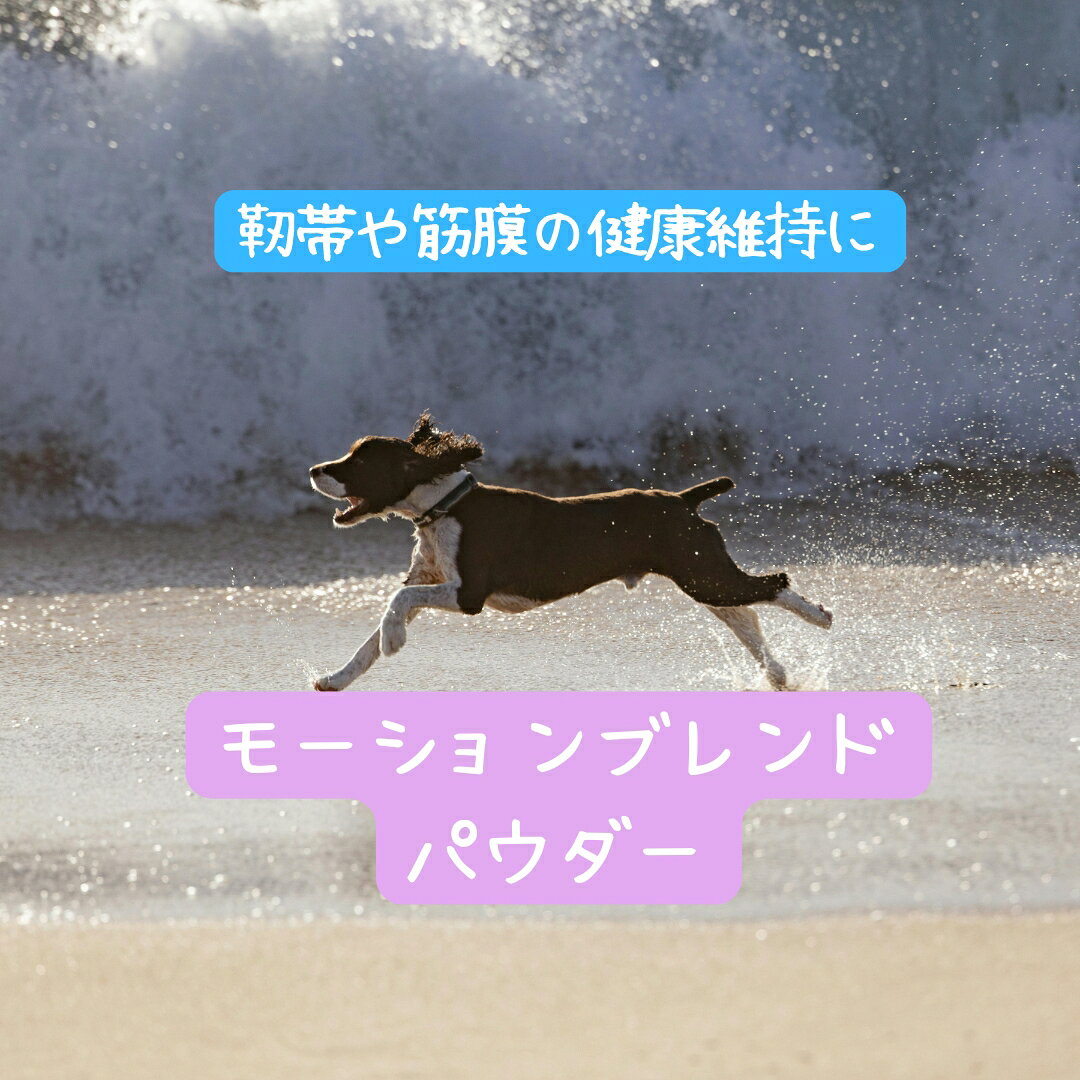 モーションブレンドパウダー 定形外送料無料 犬用 靭帯 筋膜 筋肉 コンディション Boswellia ハーブ粉末
