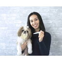 ペットピュア オールナチュラル 歯と歯茎のジェル(ペンタイプ)犬猫用 1本 歯周病 歯石とり 口臭