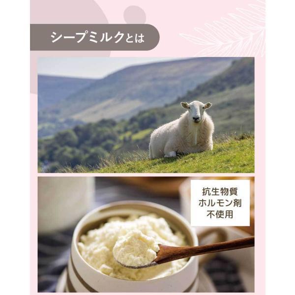 ナチュレ 恵 megumi ブルーベリー＋いちご 70g×4P 1個 【3980円対象】 【冷蔵同梱】 4個パック 低脂肪 ヨーグルト ガセリ菌 ビフィズス菌 ストロベリー 雪印メグミルク 一般製品