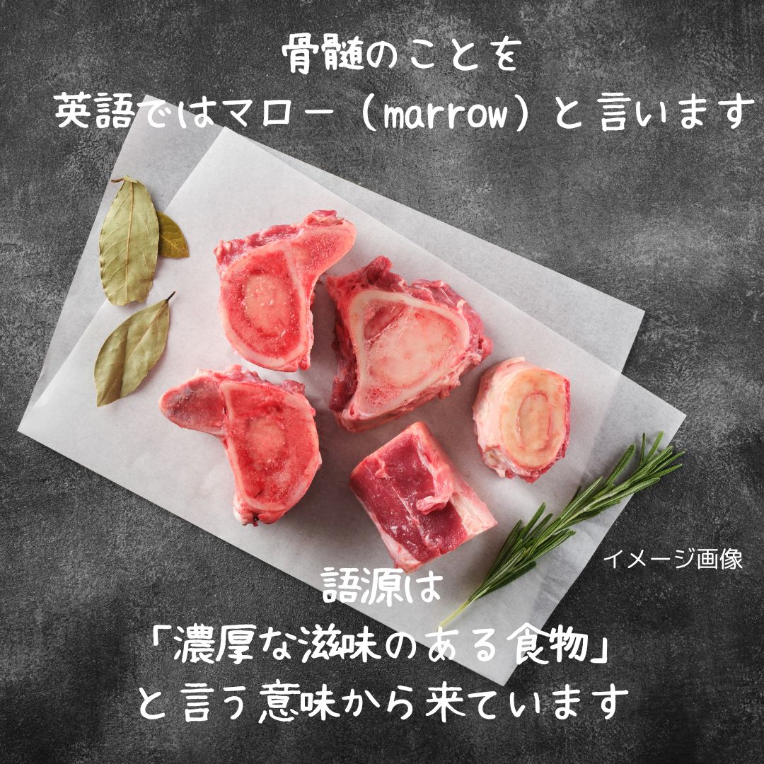 4本購入で1本おまけ! マローチュー ヒューマ...の紹介画像2