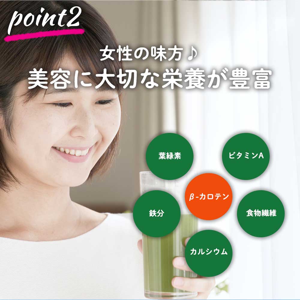 送料無料 Grace 22新作モデル Of Nature よもぎ 粉末 パウダー 無添加 国産 100g 農薬不使用 送料無料 Grace 22新作モデル Of Nature よもぎ 粉末 パウダー 無添加 国産 100g 農薬不使用