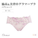 【10%OFF】脇高&美背中グラマーブラ ペアショーツ シャルマン 単品 ショーツ単品 M L LL 3L デザインショーツ パンティ ブラジャーセット レース ランジェリー 刺繍柄 下着 かわいい エレーヌ