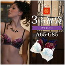 【福袋 送料無料】A65-G80 ワイヤーブラ おまかせ3セット 下着 レディース インナーブラ ブラジャー 女性 花柄レース お買い得 安い 大きいサイズ 小...