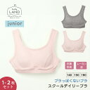 今だけ送料無料【単品・2点セット】ジュニア スクールデイリーモールドブラ ランドリーランド スポーツブラ 一体型 抗菌防臭 ファーストブラ 140 150 160 女の子 下着 ノンワイヤーブラ ブラ ブラジャー シンプル 子供 学生 小学生 中学生 エレーヌ elene