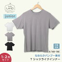 今だけ送料無料【 単品/2点セット】ジュニア Tシャツライクコンフォートインナー ランドリーランド 下着 肌着 バンブー素材 竹レーヨン 半袖 Uネック クルーネック インナー Tシャツ 抗菌防臭 通気性 伸縮性有 白 黒 ブラック グレー laundry land ELENE エレーヌ